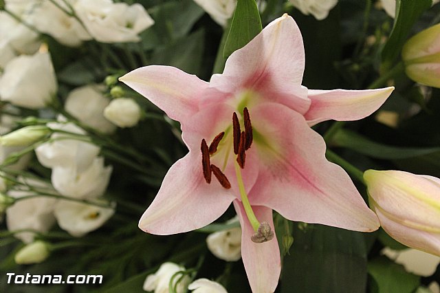 Procesin El Paretn-Cantareros 2015 - 11