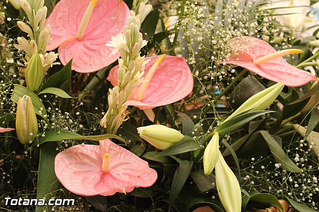 Procesin El Paretn-Cantareros 2015 - 22