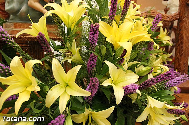 Procesin Paretn-Cantareros 2016 - 20