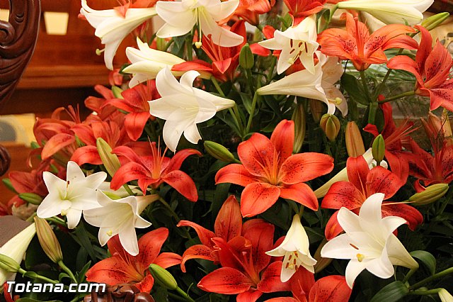 Procesin Paretn-Cantareros 2016 - 22