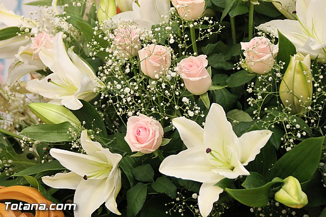 Procesin Paretn-Cantareros 2016 - 26