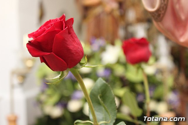 Procesin Paretn-Cantareros 2018 - 7