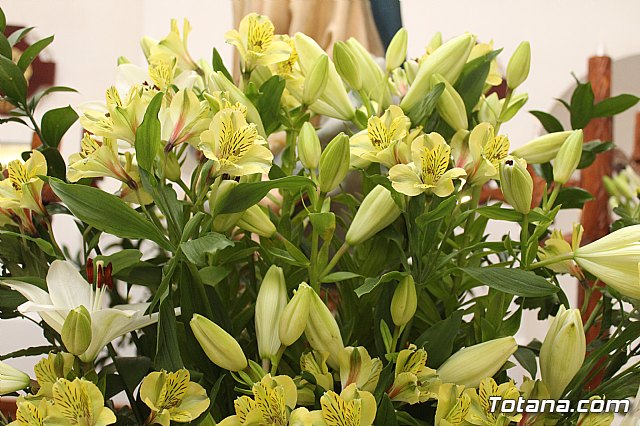 Procesin Paretn-Cantareros 2018 - 17