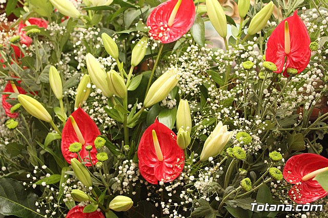 Procesin Paretn-Cantareros 2018 - 19