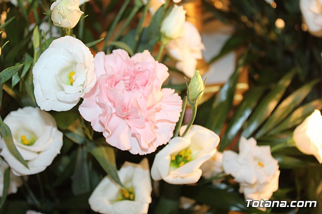 Procesin Paretn-Cantareros 2019 - 27