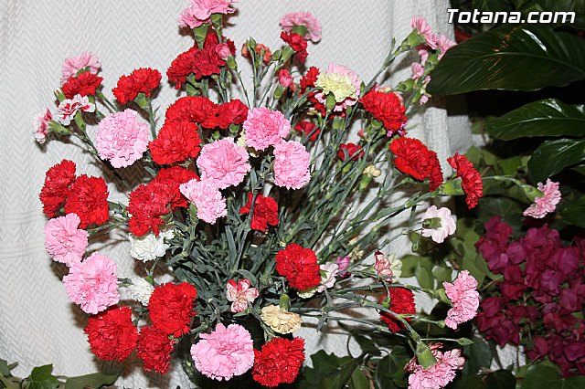 Canto de los Mayos 2014 - Grupo Folklrico 