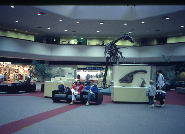 Se cumplen 30 aos de la escalada  de tres jvenes totaneros  al 