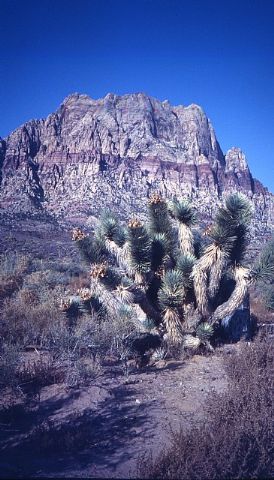 Se cumplen 30 aos de la escalada  de tres jvenes totaneros  al 