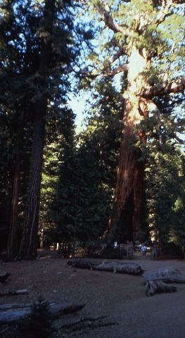 Se cumplen 30 aos de la escalada  de tres jvenes totaneros  al 