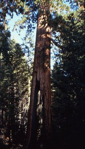 Se cumplen 30 aos de la escalada  de tres jvenes totaneros  al 
