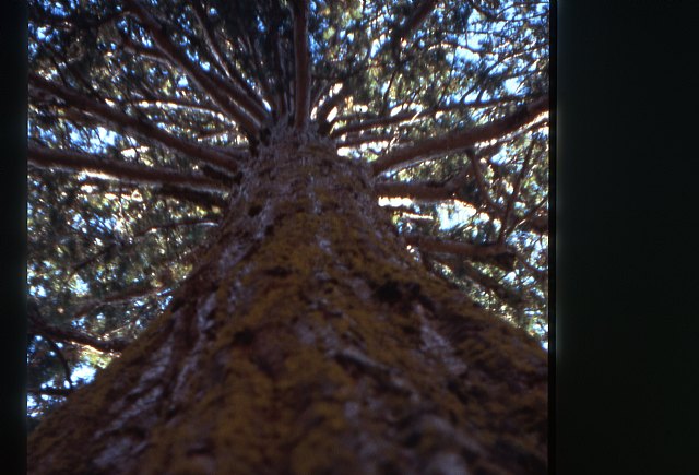 Se cumplen 30 aos de la escalada  de tres jvenes totaneros  al 