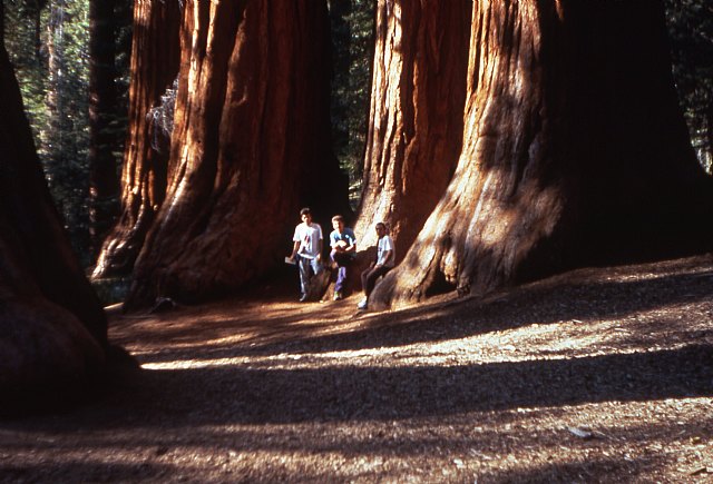 Se cumplen 30 aos de la escalada  de tres jvenes totaneros  al 