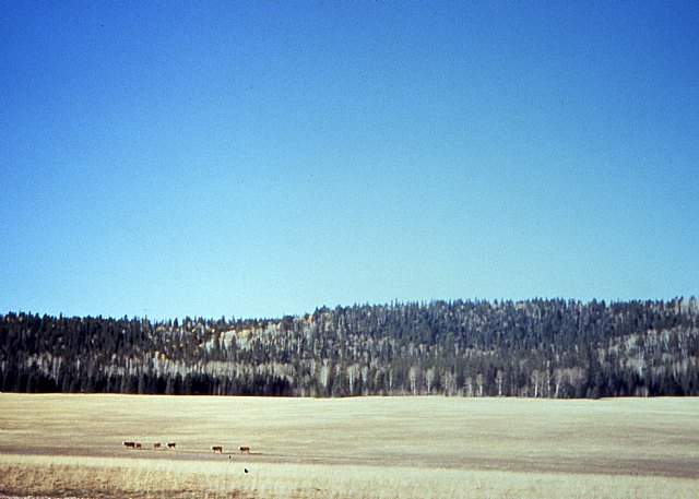 Se cumplen 30 aos de la escalada  de tres jvenes totaneros  al 