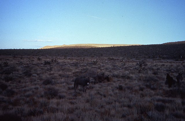 Se cumplen 30 aos de la escalada  de tres jvenes totaneros  al 