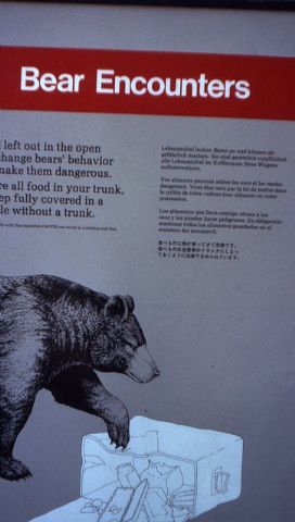 Se cumplen 30 aos de la escalada  de tres jvenes totaneros  al 