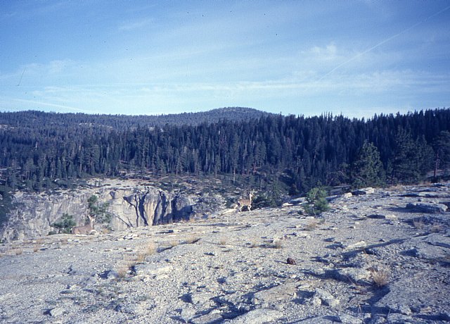 Se cumplen 30 aos de la escalada  de tres jvenes totaneros  al 