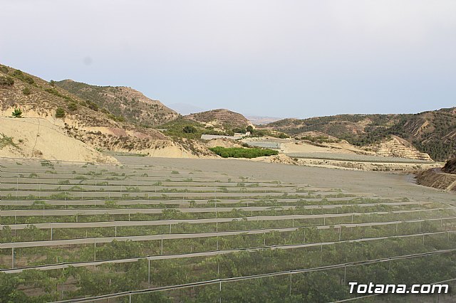 Procesin Vias-Carivete 2018 - 143