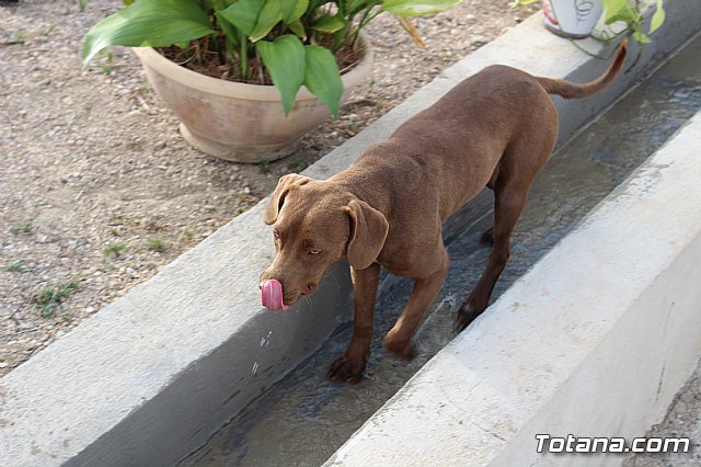 Procesin Vias-Carivete 2018 - 161