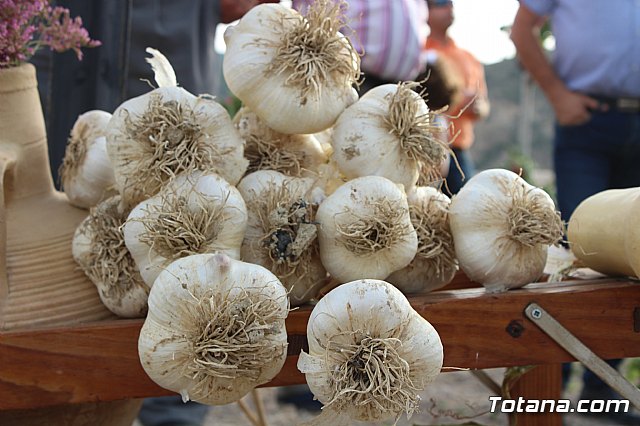 Procesin Vias-Carivete 2018 - 162