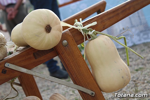 Procesin Vias-Carivete 2018 - 164