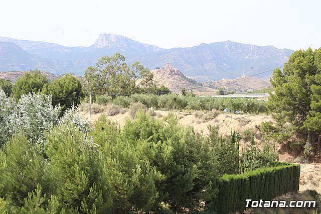 Procesin Vias-Carivete 2019 - 11