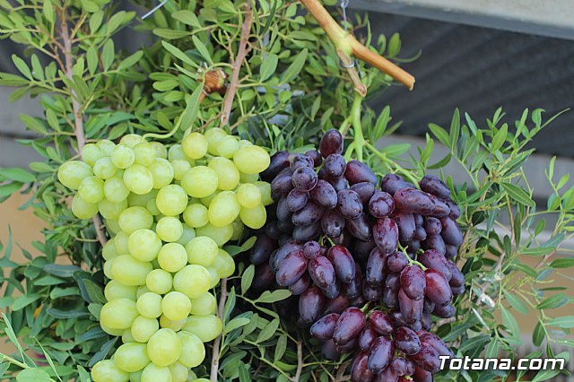 Procesin Vias-Carivete 2019 - 53