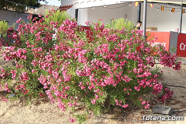 Procesin Vias-Carivete 2019 - 78