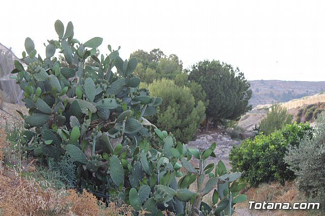 Procesin Vias-Carivete 2019 - 209