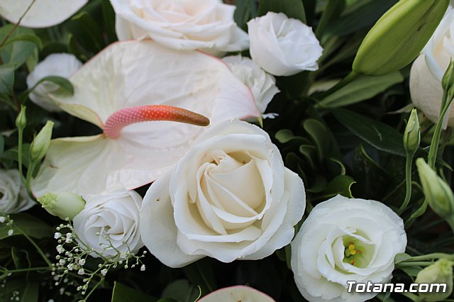 Procesin Vias-Carivete 2019 - 245