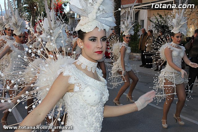 Carnaval de Totana 2013 - 14