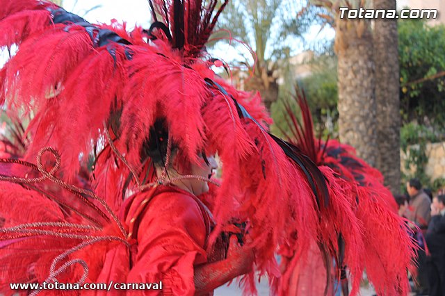 Carnaval de Totana 2013 - 111