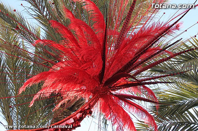 Carnaval de Totana 2013 - 155