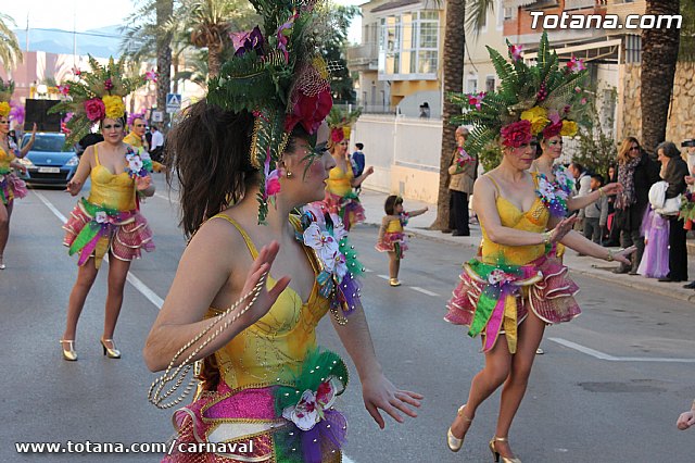 Carnaval de Totana 2013 - 322