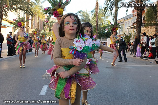 Carnaval de Totana 2013 - 326