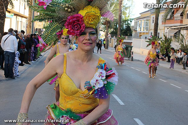 Carnaval de Totana 2013 - 329