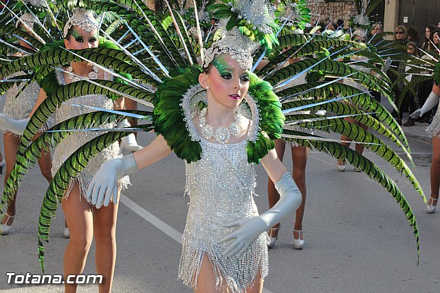 Carnaval Totana 2015 - Reportaje I - 109