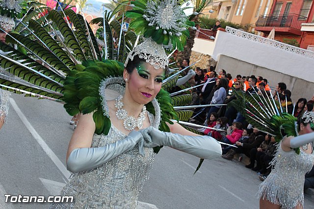 Carnaval Totana 2015 - Reportaje I - 190