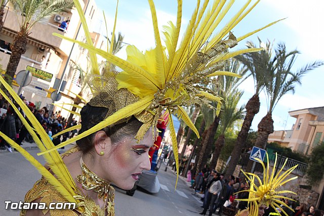 Carnaval Totana 2015 - Reportaje I - 237