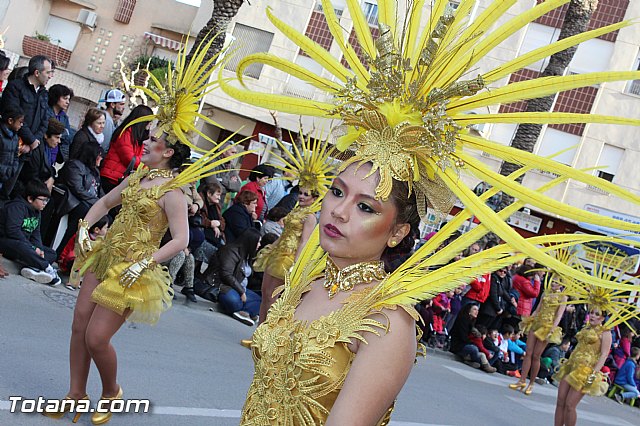 Carnaval Totana 2015 - Reportaje I - 255