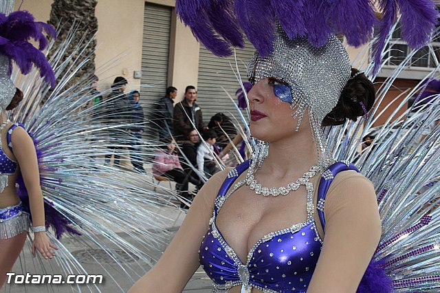 Carnaval Totana 2015 - Reportaje I - 496