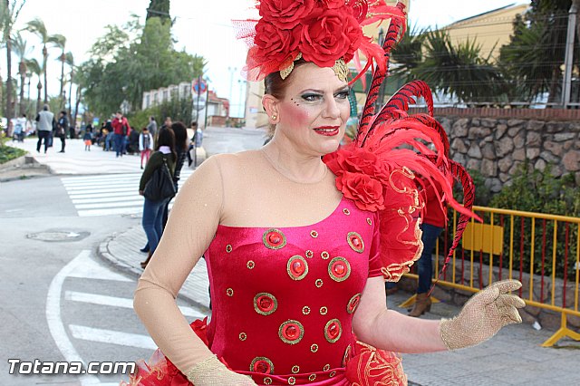 Carnaval Totana 2015 - Reportaje I - 539