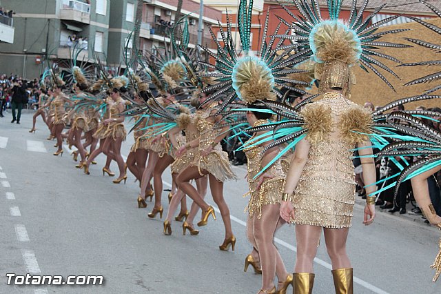 Carnaval Totana 2015 - Reportaje I - 816