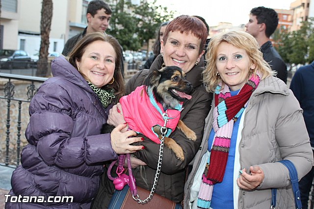 Carnaval Totana 2015 - Reportaje I - 962