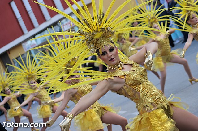 Carnaval Totana 2015 - Reportaje II - 131