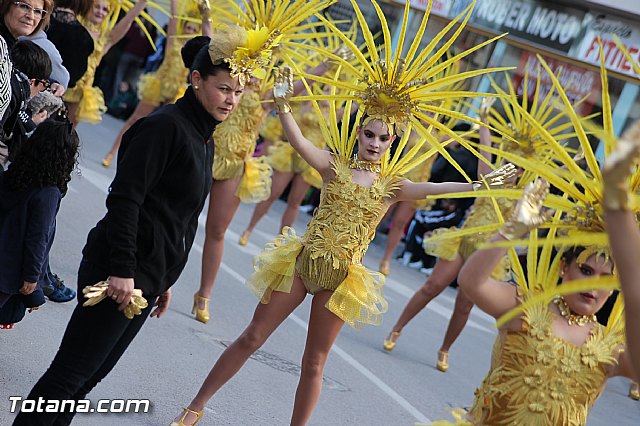 Carnaval Totana 2015 - Reportaje II - 132