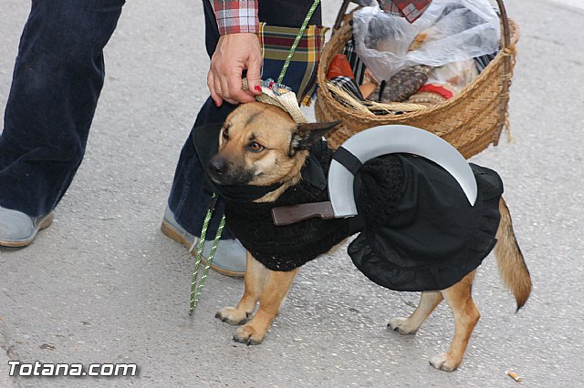 Carnaval Totana 2015 - Reportaje II - 244