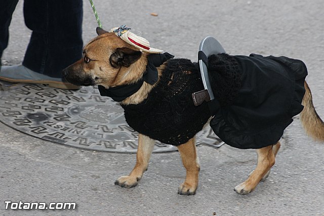 Carnaval Totana 2015 - Reportaje II - 245