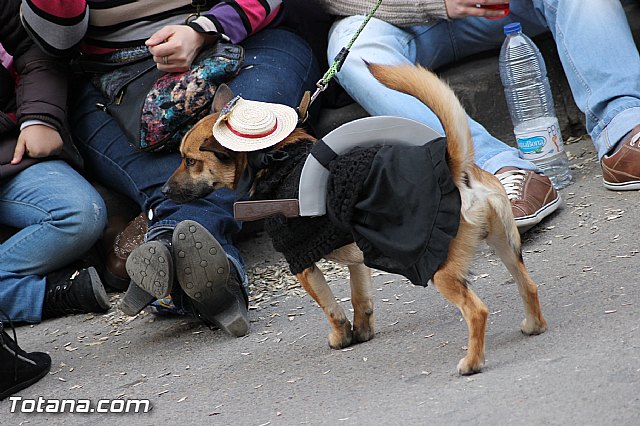 Carnaval Totana 2015 - Reportaje II - 246