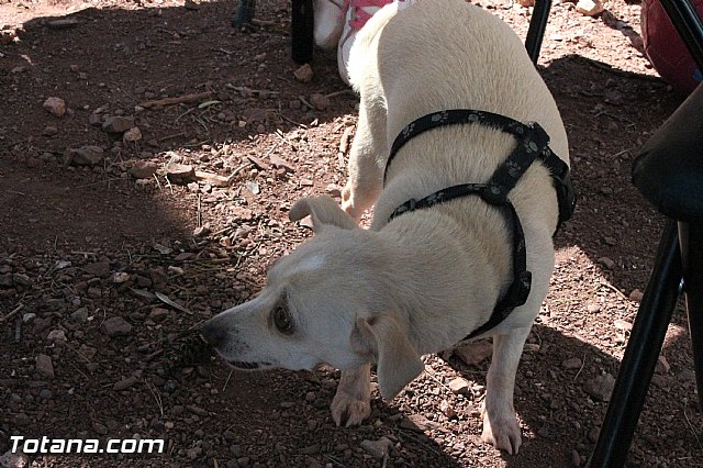 Jornada de convivencia Peas de Carnaval en la Santa 2016 - 117