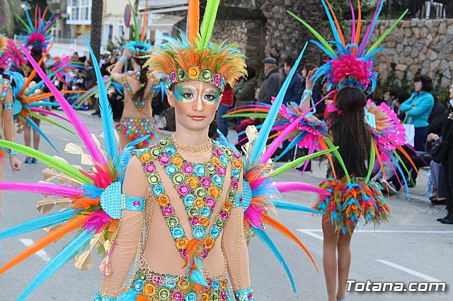 Desfile de Carnaval Totana 2017 - 431